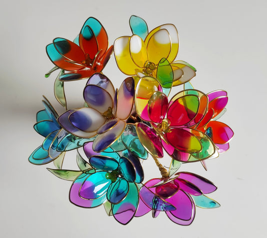 Fleur "L'Etincelante"