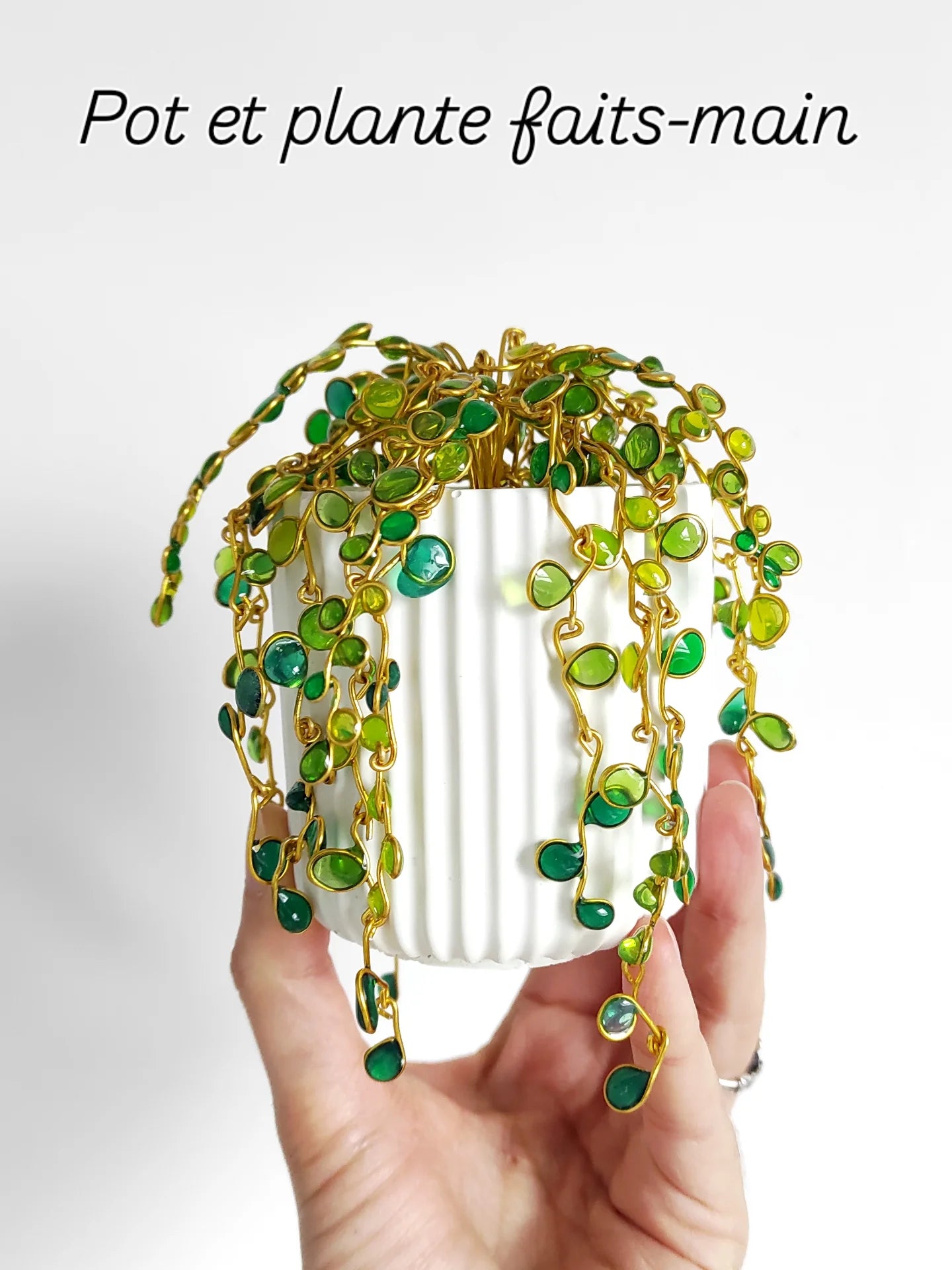 le "Collier de Perles"